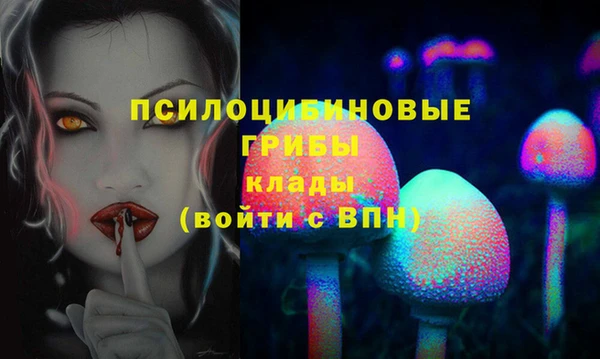 крисы Алексин