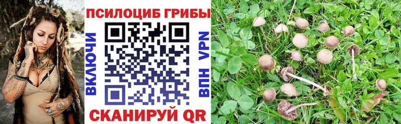 Псилоцибиновые грибы MAGIC MUSHROOMS  Рыбное 